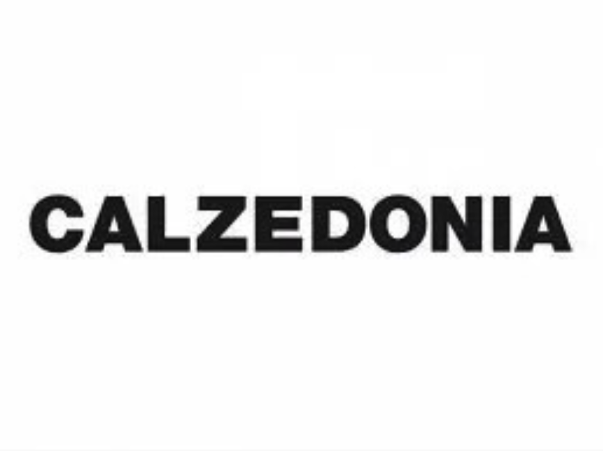 Logo Calzedonia, collaboratore a Sala Posa Verona